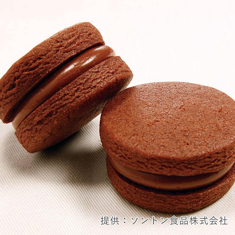 SONTON（ソントン） ムースプレミアムベルギーチョコ 800g クリーム