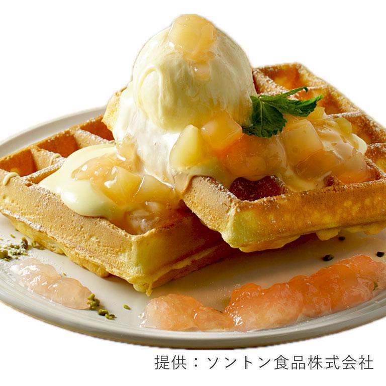 ソントン ドルチェカフェカスタード 500g クリーム フラワーペースト カスタード 爆買 | SONTON | 04