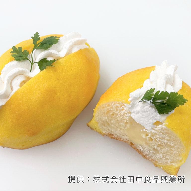 田中食品 果皮入り瀬戸内レモンフロマージュN 1kg クリーム フラワー