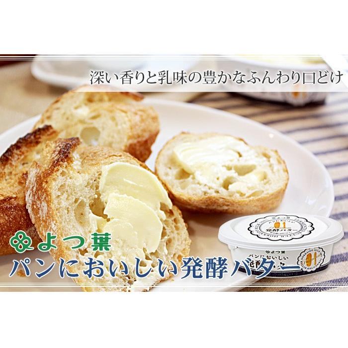 よつ葉 パンにおいしい発酵バター 100g バター よつ葉乳業 よつば 17020015 ママパン ママの手作りパン屋さん 通販 Yahoo ショッピング