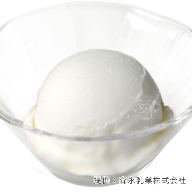 森永乳業 EX ジェラートミルク 2000ml アイスミルク 2L 業務用