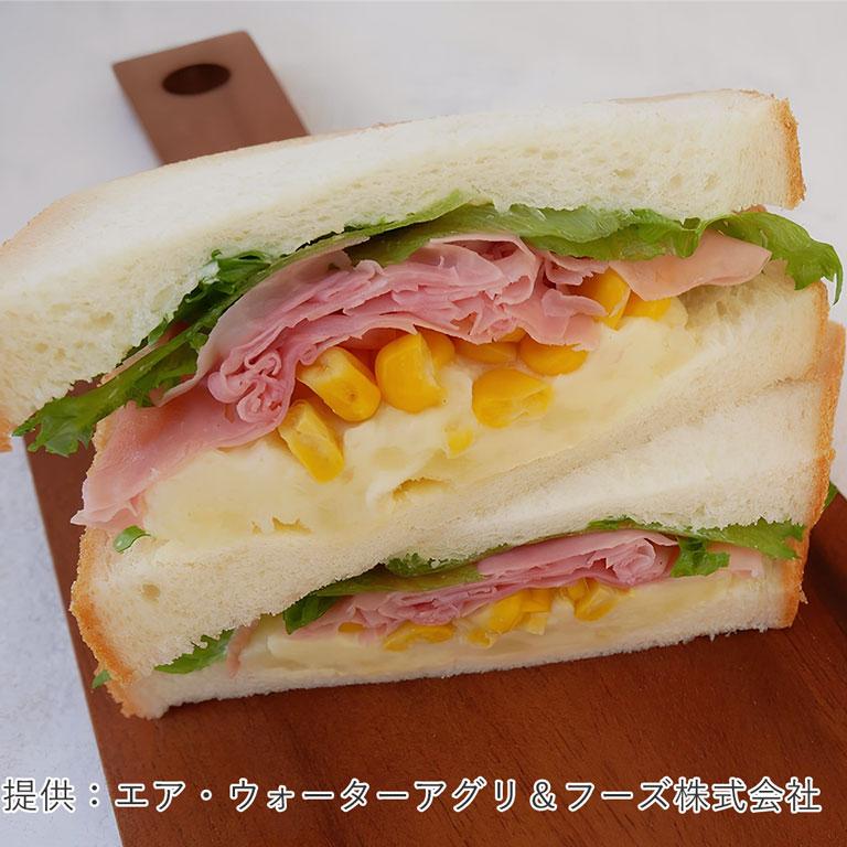 大山ハム ボンレスシュゼット A220 320g ボンレスハム 薄切り スライス | 大山ハム | 02