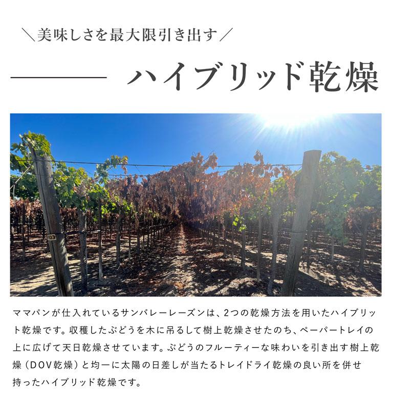 mamapan（ママパン） サンバレー カリフォルニアレーズン 200g ドライ