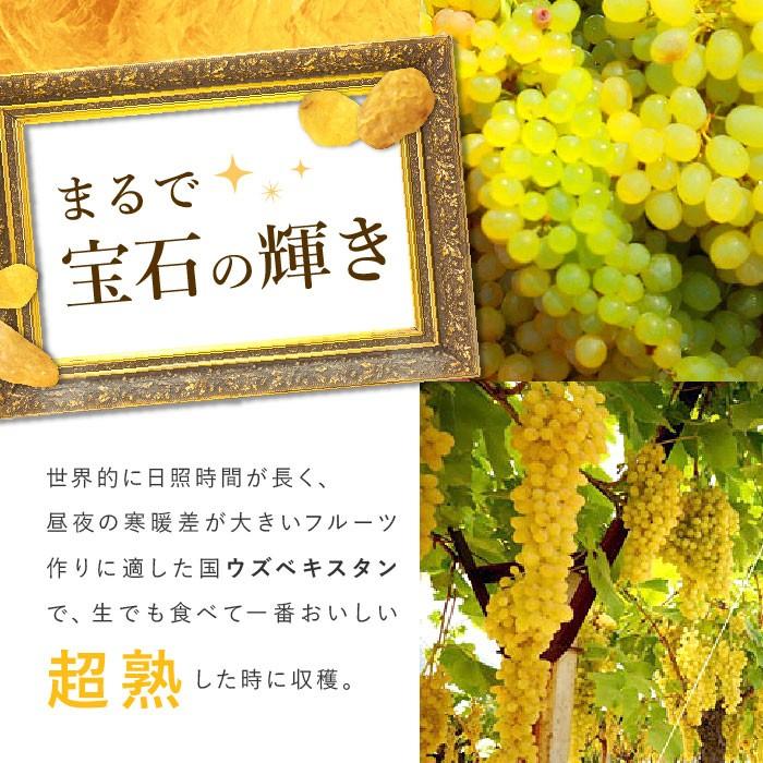 mamapan（ママパン） ウズベキスタン産 ジャンボゴールデンレーズン