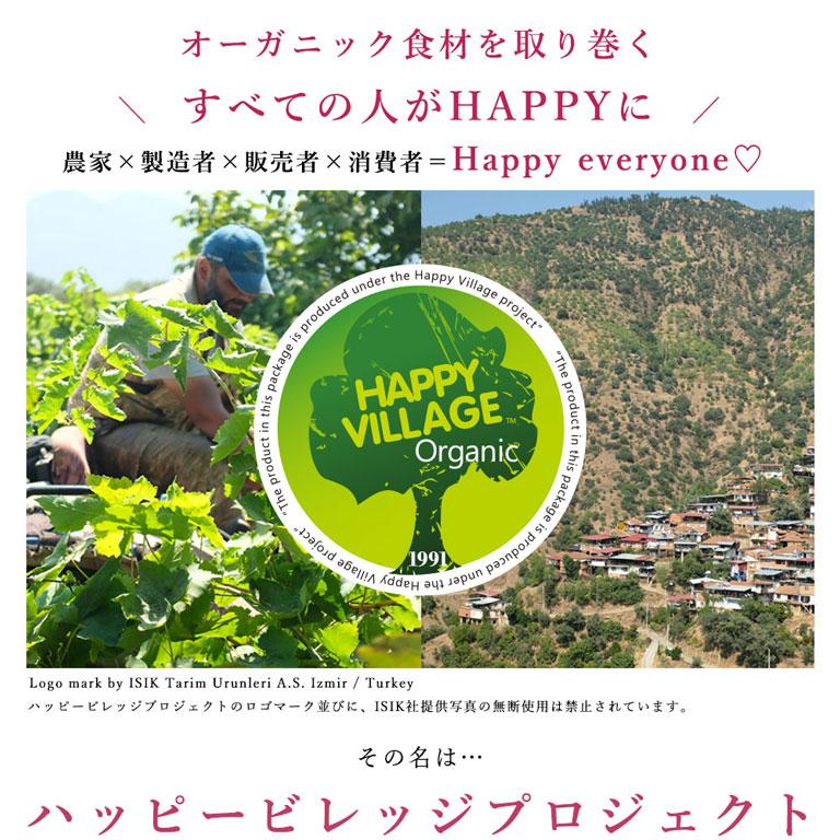 ママパン 有機サルタナレーズン 400g トルコ産 有機JAS ノンオイル オーガニック 砂糖不使用 チャック袋入 干しぶどう | mamapan | 05