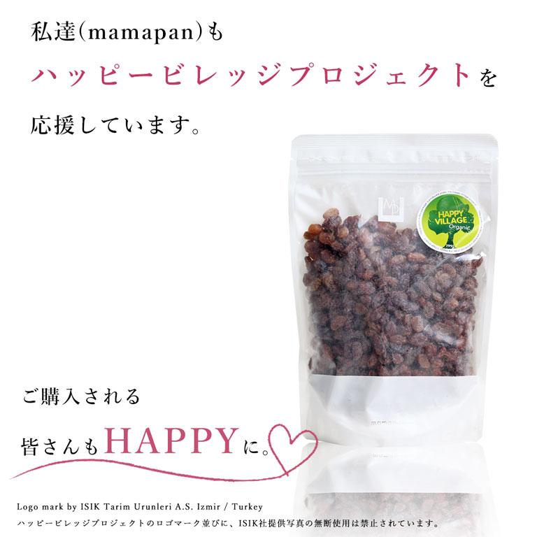 ママパン 有機サルタナレーズン 400g トルコ産 有機JAS ノンオイル オーガニック 砂糖不使用 チャック袋入 干しぶどう | mamapan | 07