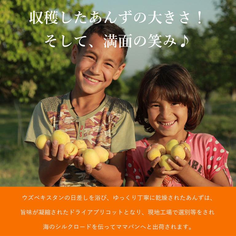 ママパン ウズベキスタン産 ジャンボドライアプリコット スブハン 500g 大粒 ドライフルーツ 砂糖不使用 あんず 杏 | mamapan | 06