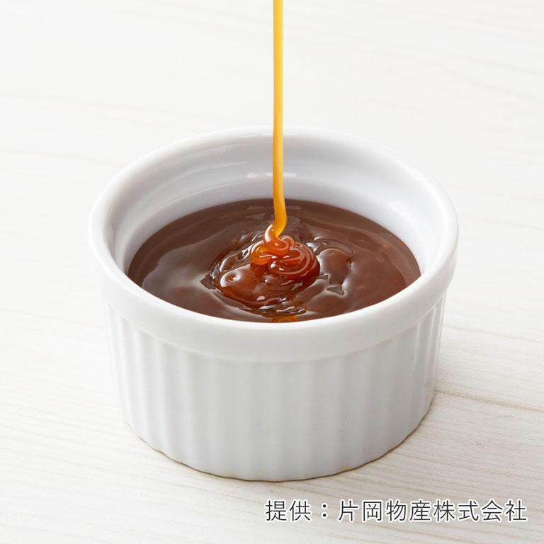 VAN HOUTEN（バンホーテン） キャラメルシロップ 630g キャラメル