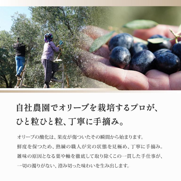 mamapan（ママパン） Palamidas(パラミダス) Exバージンオリーブオイル