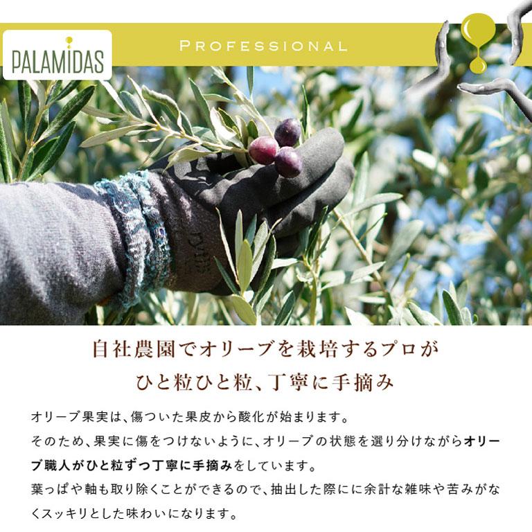 Palamidas（パラミダス）Exバージンオリーブオイル 1000ml オイル トルコ産 | mamapan | 06