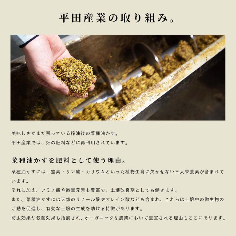 平田産業 圧搾一番しぼり 国産なたねサラダ油 910g オイル 菜種油 |  | 07