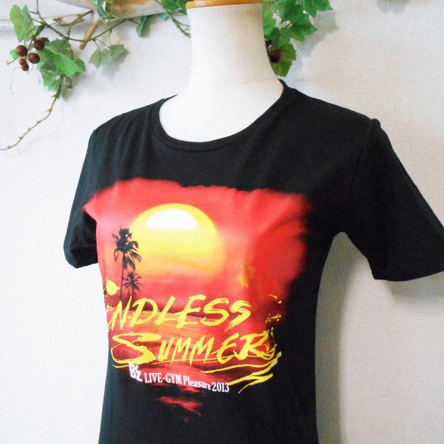 B'z LIVE-GYM ビーズ ライブ Tシャツ 2013 ENDLLES SUMMER エンドレス