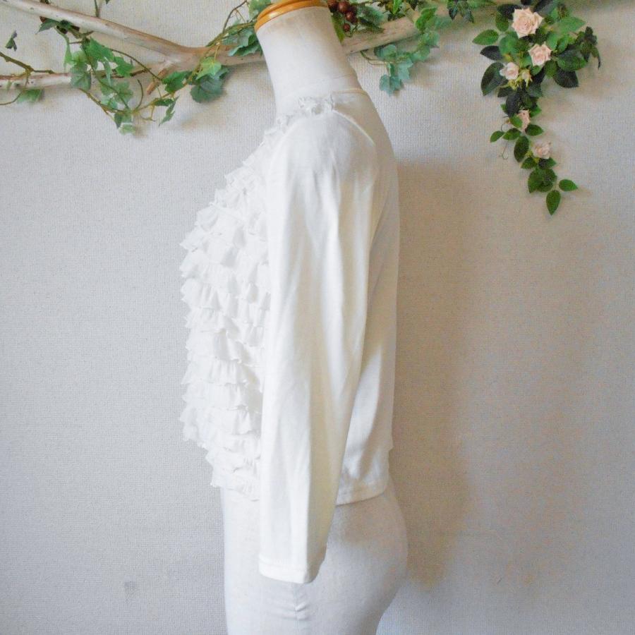 美品】hbis アッシュビス フォックス羊皮使用フリルベスト 個性的 タグ付き