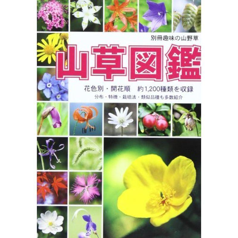 山草図鑑 別冊趣味の山野草 Mamaron 通販 Yahoo ショッピング