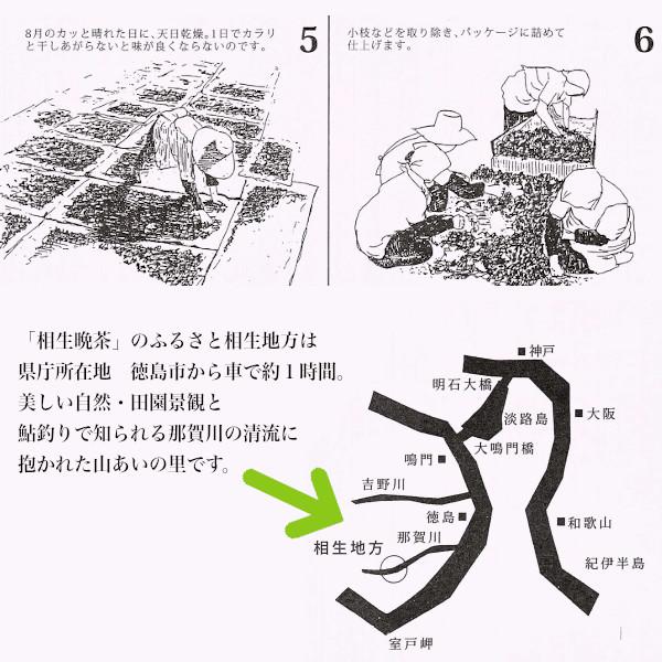 徳島県相生地方名産「相生晩茶」（200g）産地直送にてお届け