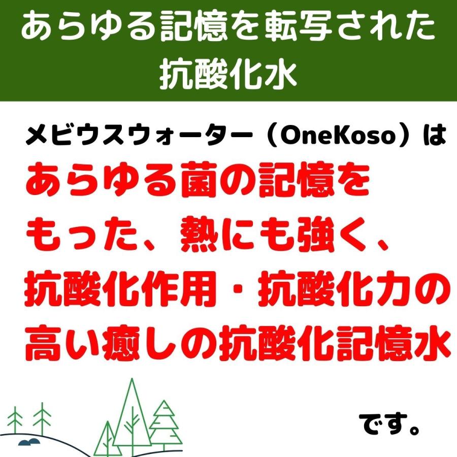 メビウスウォーター(旧ワン酵素、ワンコウソ OneKoso) 75ml メビウスウォーター(旧ワン酵素、ワンコウソ OneKoso) 75ml