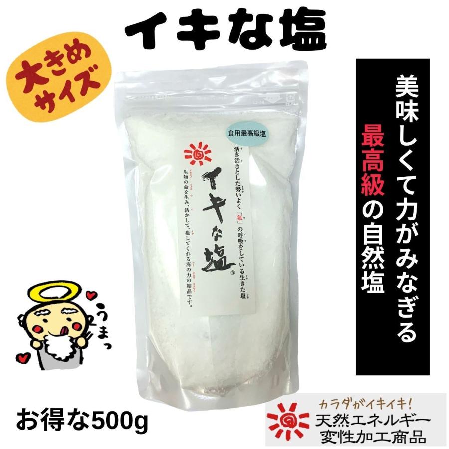 イキな塩 500g 天然エネルギー変性加工食品 天然塩｜mamas-fuwakoya88