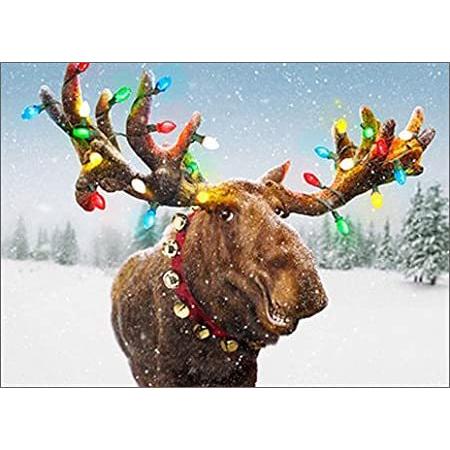 Decorated Moose Antlers Xa0 X13 Xa0 ボックスof 10 Xa0 Avanti面白いクリスマスカード 品質は非常に良い