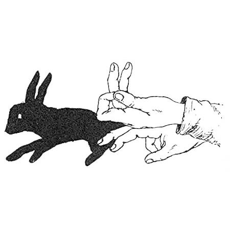 最高品質の Shadowgraphy Posterazzi Rabbit V 18), x (24 Source, Science by Print Poster ポスター