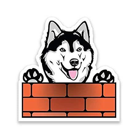 オンラインストア卸値 車ステッカー犬おしゃれかっこいいおもしろい給油口moreshizシベリアンハスキー犬壁を覗くビニールデカールステッカー 車トラックバンsuv窓壁カップノートパソコン 6 限定配送 File2 Asianmba Org