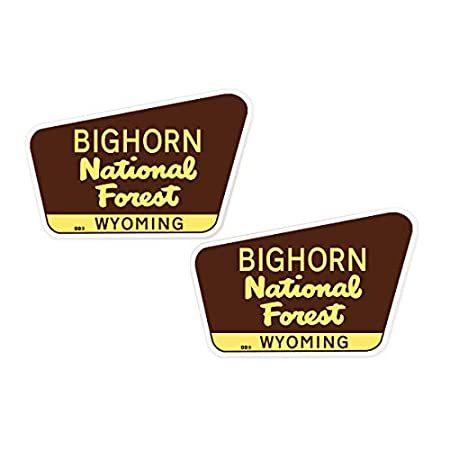 金沢は激しい雪で ステッカー車おしゃれ 2 Bighornnationalforestデカールステッカー3インチx2インチワイオミングビニールデカールステッカー クリアランス通販売 Clima Flex Com