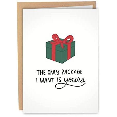 在庫一掃 ママズマートsleazy Greetings 面白いクリスマスカード The Only Package I Want Is Yours ボーイ