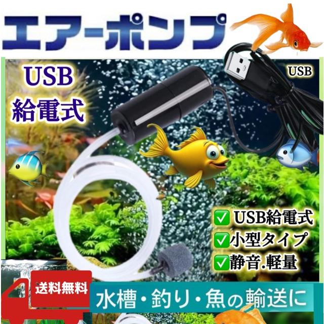 水槽　エアーポンプ　メダカ Amazon.co.jp: GEX メダカ元気 メダカを育てるフィルターセット