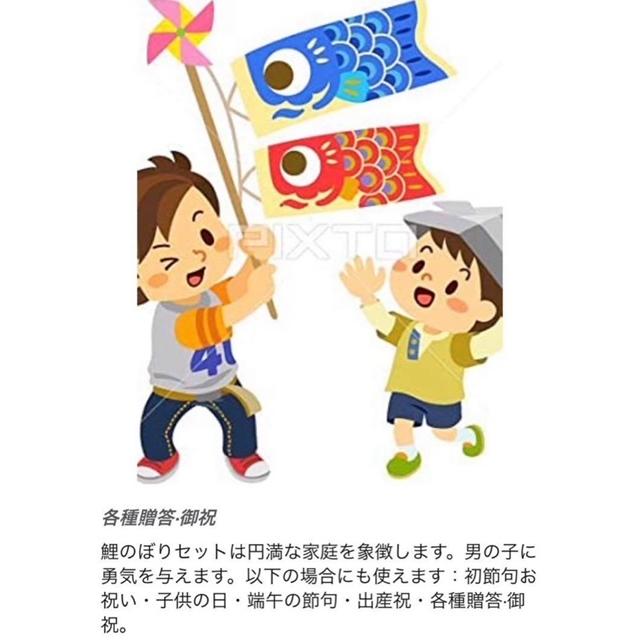 鯉【単品】【一匹のみ】約0.5m【鯉のぼり追加用】子供の日 : MAMASANI