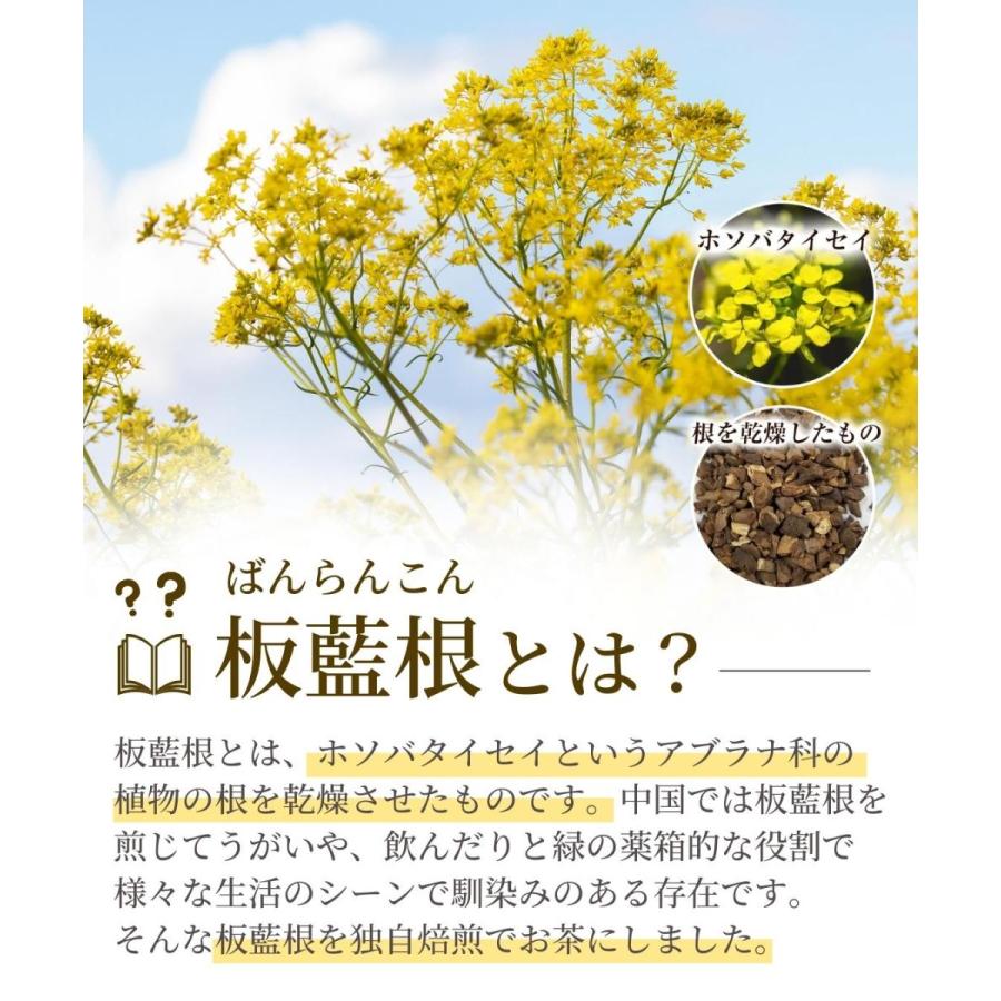 板藍根茶 受賞店 1 5g 40包 ティーバッグ ノンカフェイン 板藍根 ばんらんこん ママセレクト 健康茶 お茶 送料無料 ばんらん