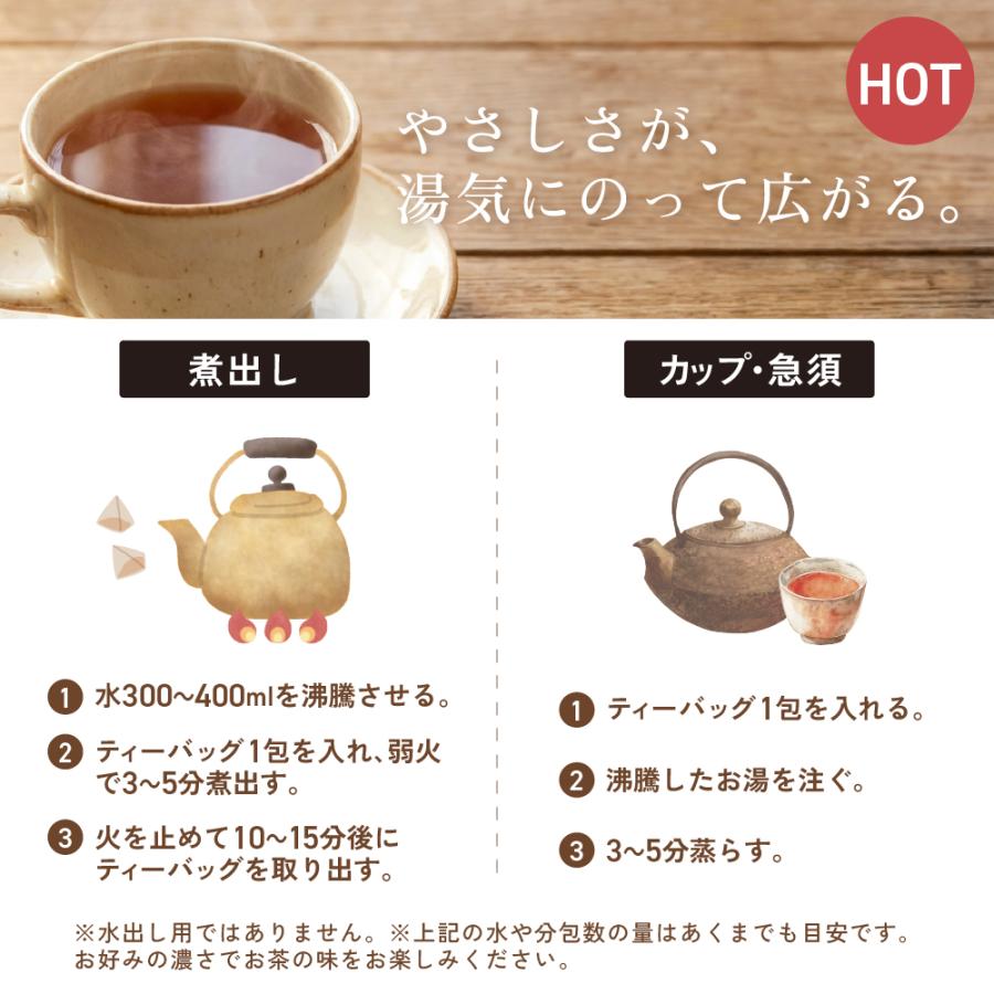 温活農園 マテ茶【まとめ割3袋セット】ブラックマテ茶 国内製造 ティー