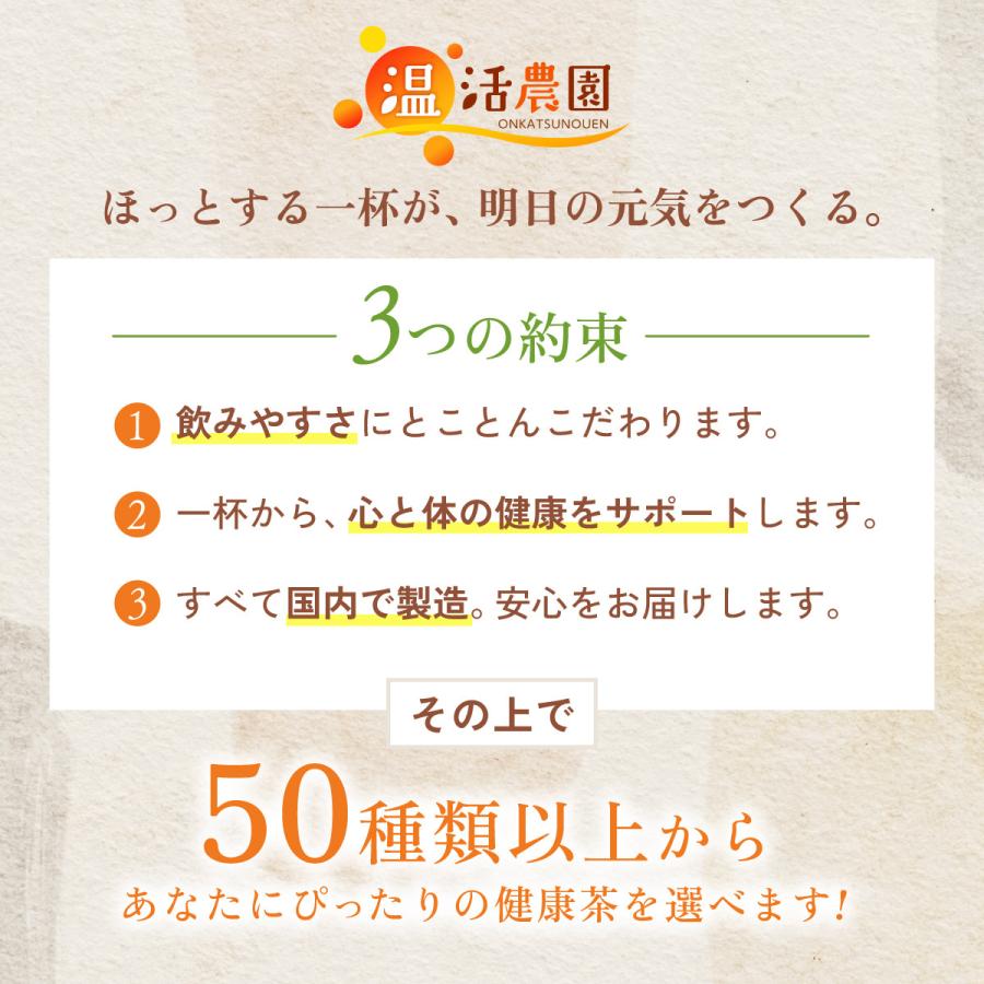 コーン茶【まとめ割2袋セット】国産 ティーバッグ (4g×40包) ノンカフェイン とうもろこし茶 とうもろこしのひげ茶 トウモロコシ茶 お茶 ハーブティー 健康茶 | 温活農園 | 19