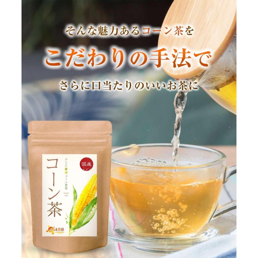 コーン茶　国産 ティーバッグ 40包 ノンカフェイン とうもろこし茶 水出し トウモロコシ茶 お茶 ハーブティー 健康茶 | 温活農園 | 06