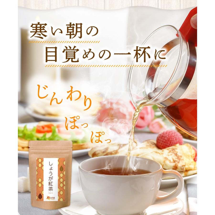 しょうが紅茶【まとめ割2袋セット】しょうが湯 国内製造 ティーバッグ (2g×25包) ショウガ紅茶 生姜紅茶 生姜茶 ジンジャーティー お茶 | 温活農園 | 02