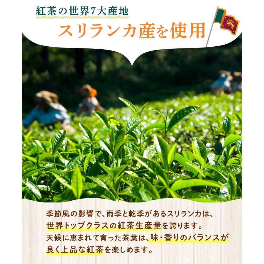 しょうが紅茶【まとめ割2袋セット】しょうが湯 国内製造 ティーバッグ (2g×25包) ショウガ紅茶 生姜紅茶 生姜茶 ジンジャーティー お茶 | 温活農園 | 03