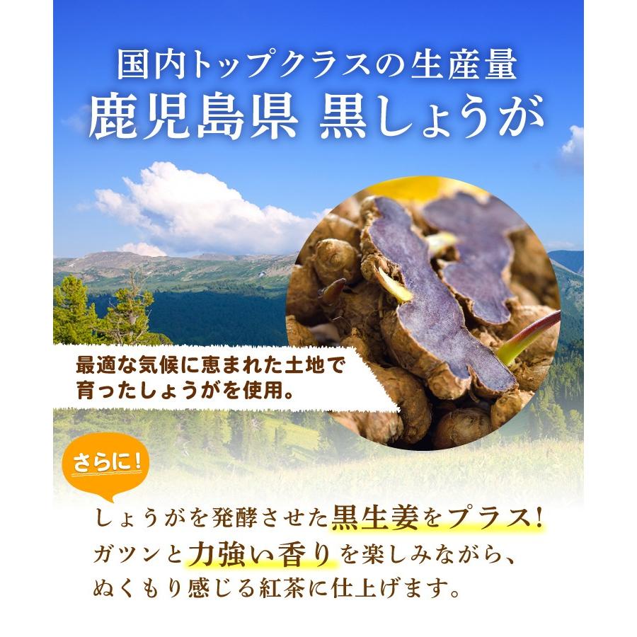 しょうが紅茶【まとめ割2袋セット】しょうが湯 国内製造 ティーバッグ (2g×25包) ショウガ紅茶 生姜紅茶 生姜茶 ジンジャーティー お茶 | 温活農園 | 04