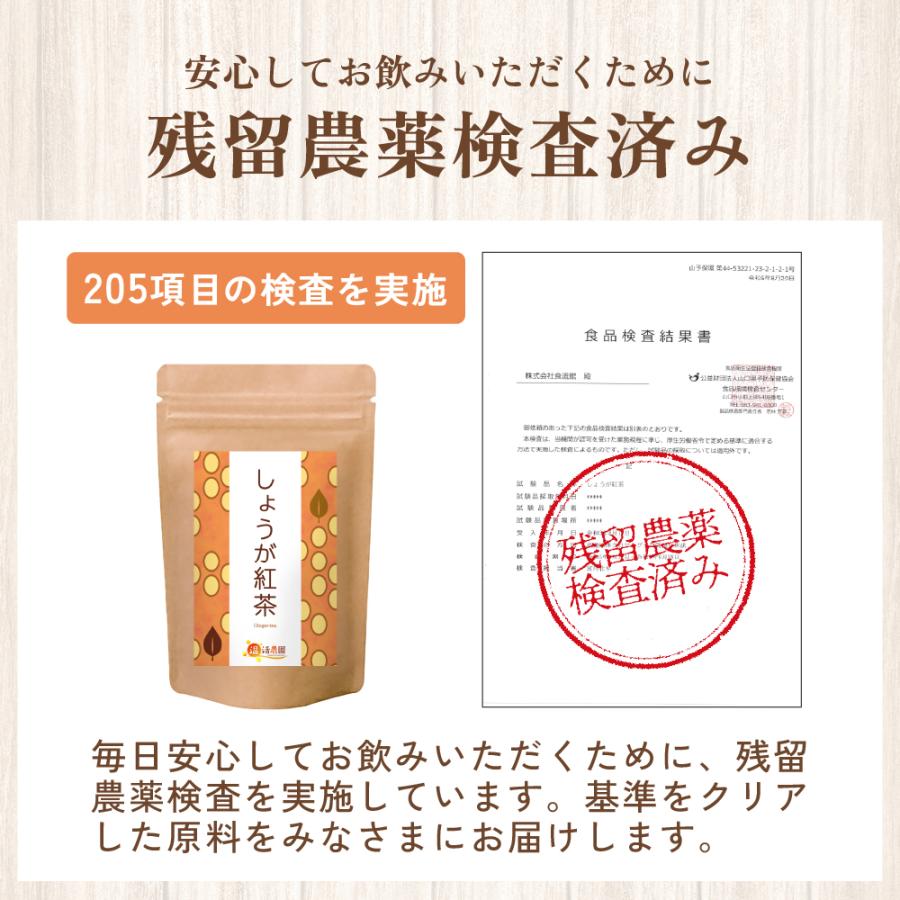 しょうが紅茶【まとめ割2袋セット】しょうが湯 国内製造 ティーバッグ (2g×25包) ショウガ紅茶 生姜紅茶 生姜茶 ジンジャーティー お茶 | 温活農園 | 05