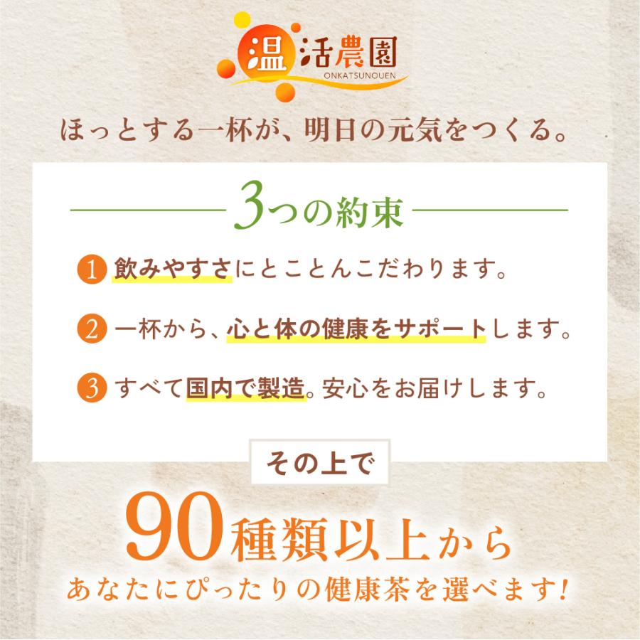 しょうが紅茶【まとめ割2袋セット】しょうが湯 国内製造 ティーバッグ (2g×25包) ショウガ紅茶 生姜紅茶 生姜茶 ジンジャーティー お茶 | 温活農園 | 10
