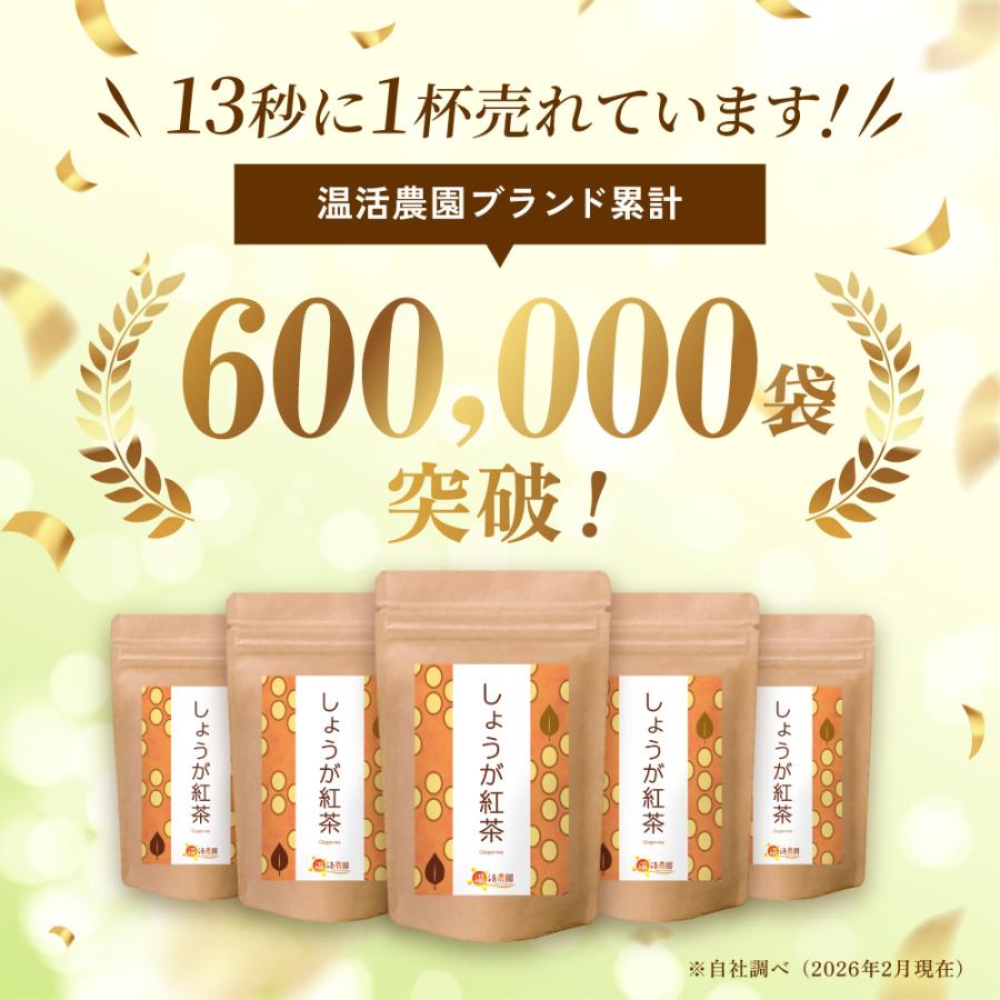 温活農園 しょうが紅茶【ブランド累計60万袋】しょうが湯 国内製造