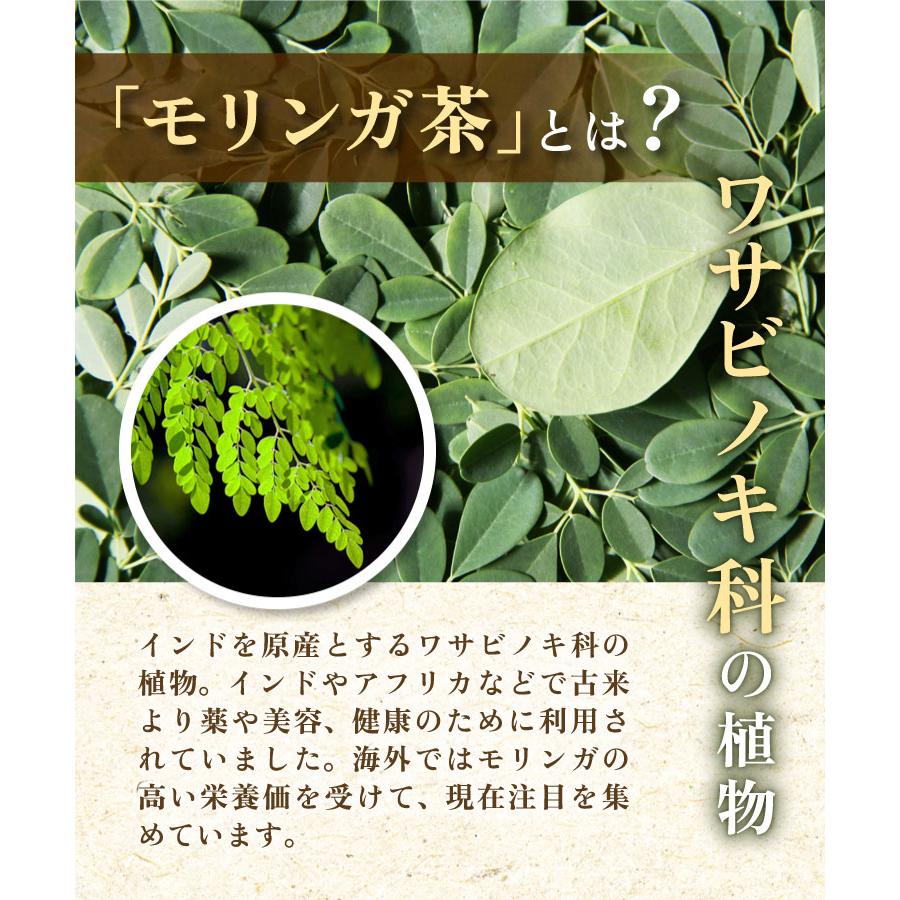 モリンガ茶【ブランド累計60万袋】インド産 ティーバッグ (2g×40包) 国内製造 ノンカフェイン もりんが茶 お茶 ハーブティー 健康茶 日本茶 | 温活農園 | 03