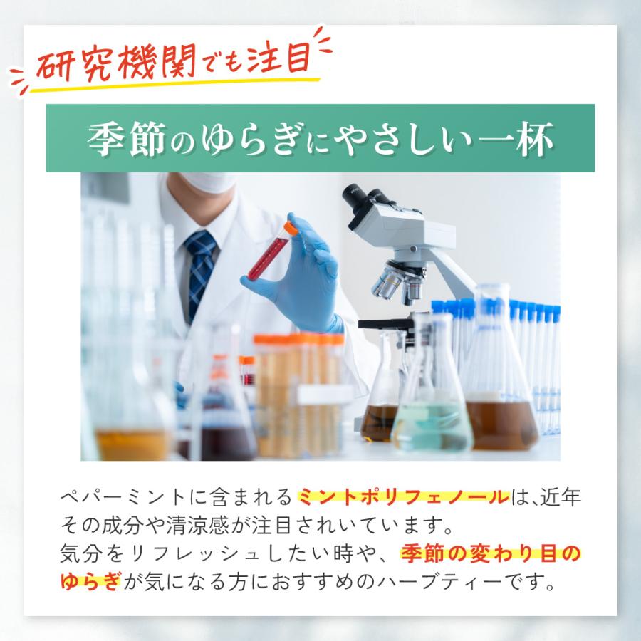 ペパーミントティー 有機 【ブランド累計60万袋】 ペパーミント ティーバッグ 20包 ノンカフェイン お茶 ハーブティー | 温活農園 | 04