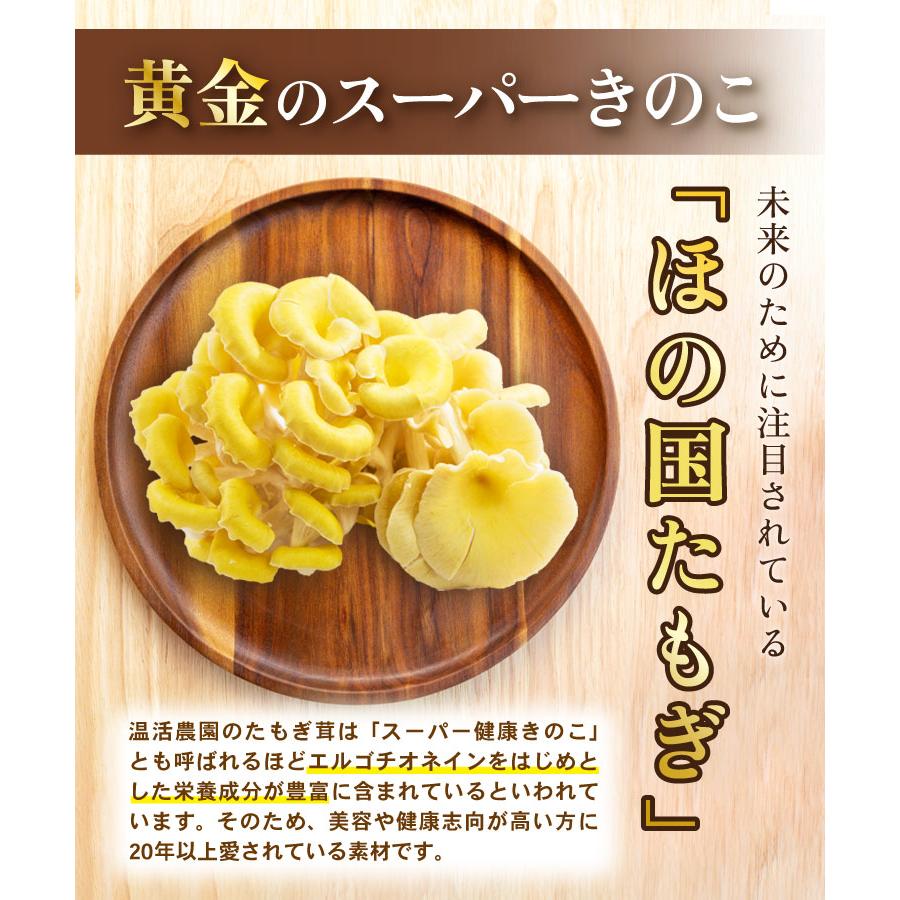 温活農園 たもぎ茸パウダー 国産 50g たもぎ茸 粉末 たもぎ茸 温活農園 たもぎ茸パウダー 国産 50g たもぎ茸 粉末 たもぎ茸