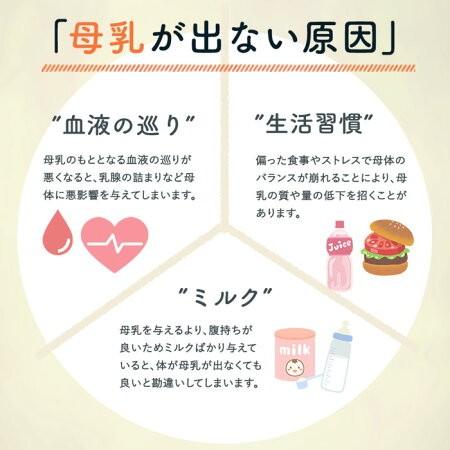 たんぽぽ茶 妊活 母乳育児 ノンカフェイン タンポポ茶 妊婦 2g 30包 いよいよ人気ブランド 母乳サポート お茶 妊娠 マタニティ 産後 ティーバッグ ママ 授乳