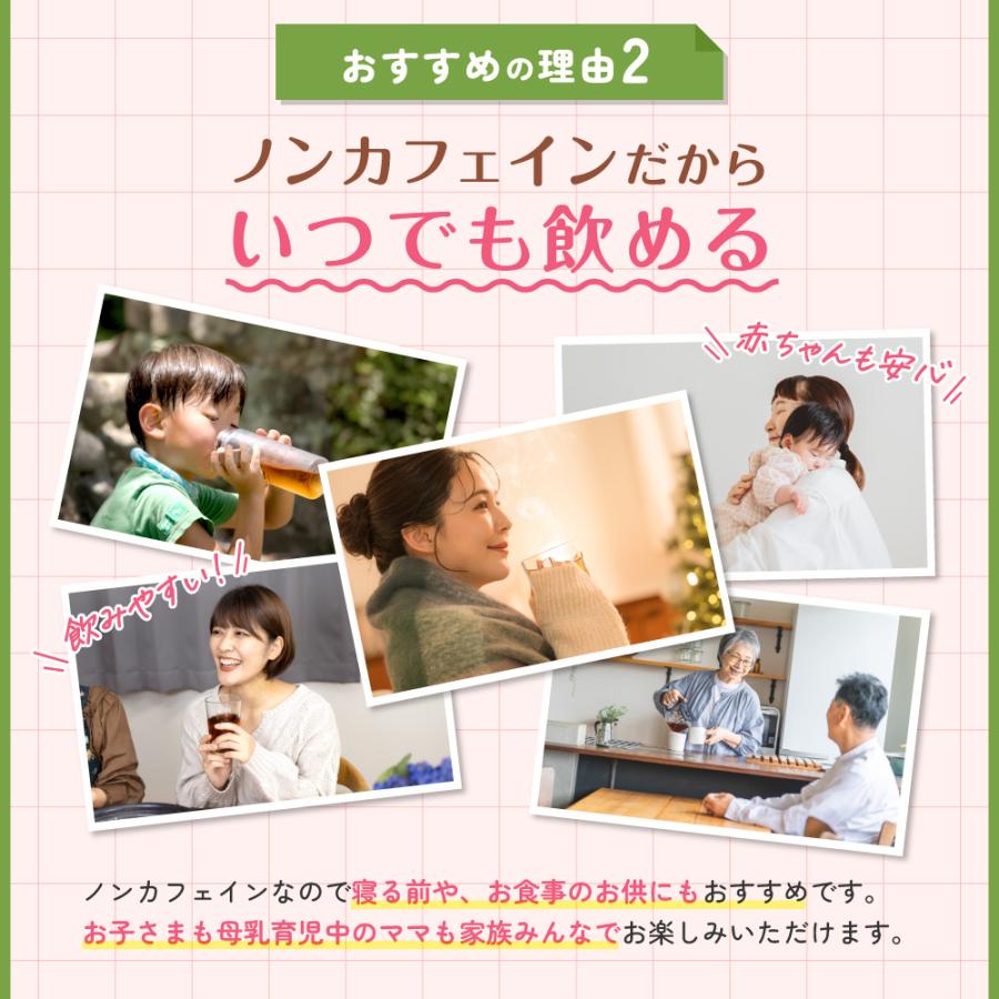 温活農園 たんぽぽ茶 国内製造 ティーバッグ (2g×30包) ノンカフェイン