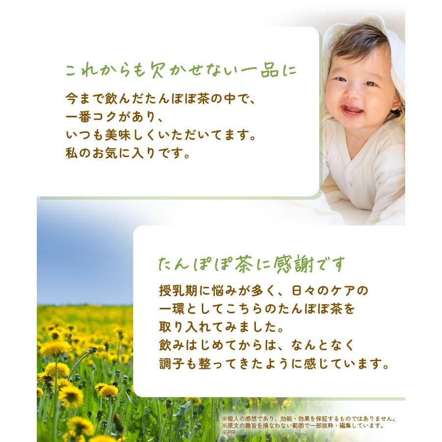 温活農園 たんぽぽコーヒー 国内製造 ティーバッグ (3g×30包) たんぽぽ