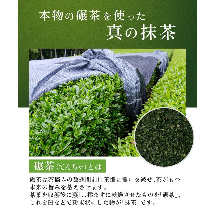 温活農園 宇治抹茶 国産 雅 30g 抹茶パウダー 抹茶粉末 抹茶