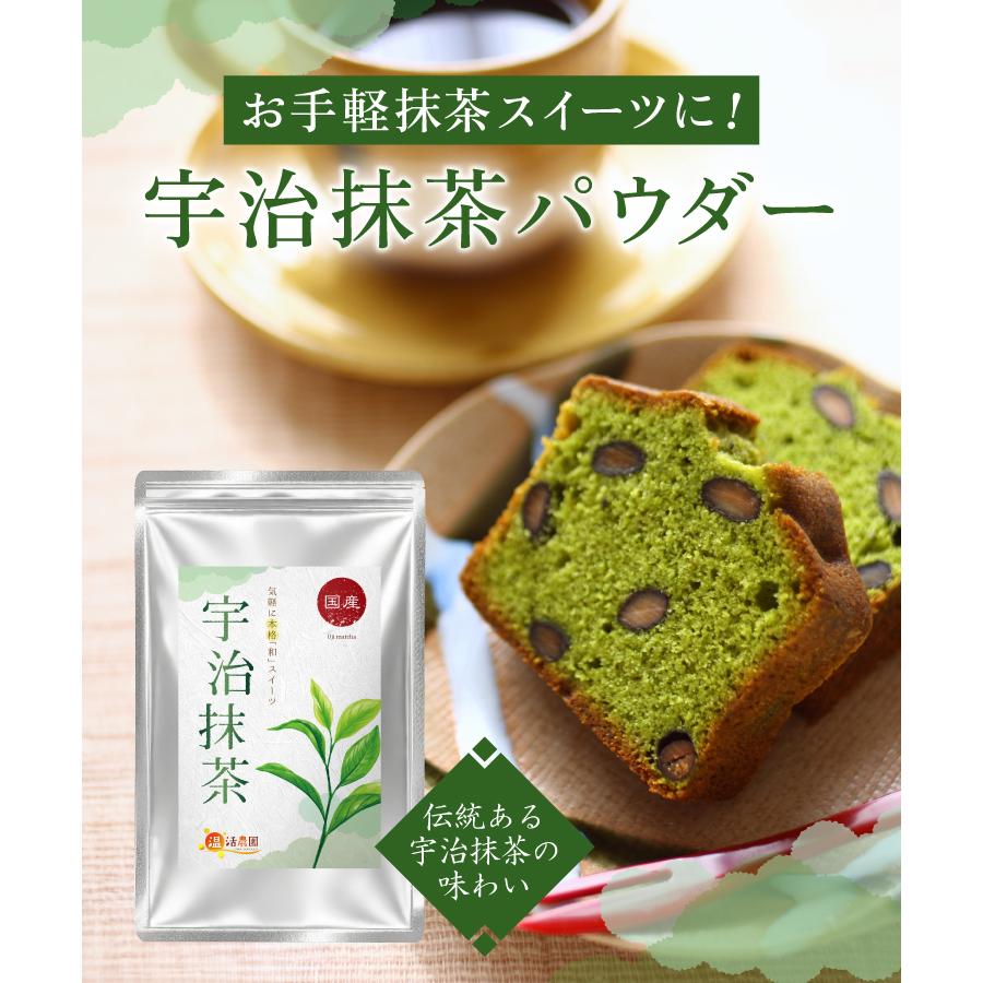 温活農園 宇治抹茶 国産 100g 抹茶ラテ 抹茶パウダー 抹茶粉末 抹茶