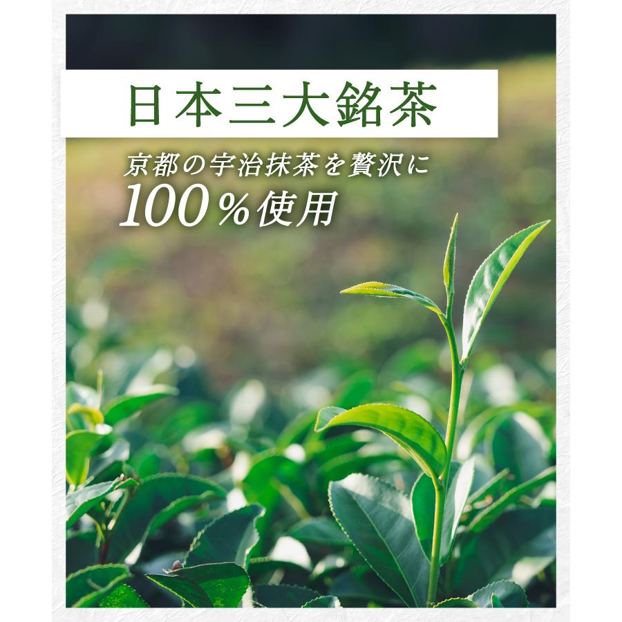 温活農園 宇治抹茶 国産 100g 抹茶ラテ 抹茶パウダー 抹茶粉末 抹茶