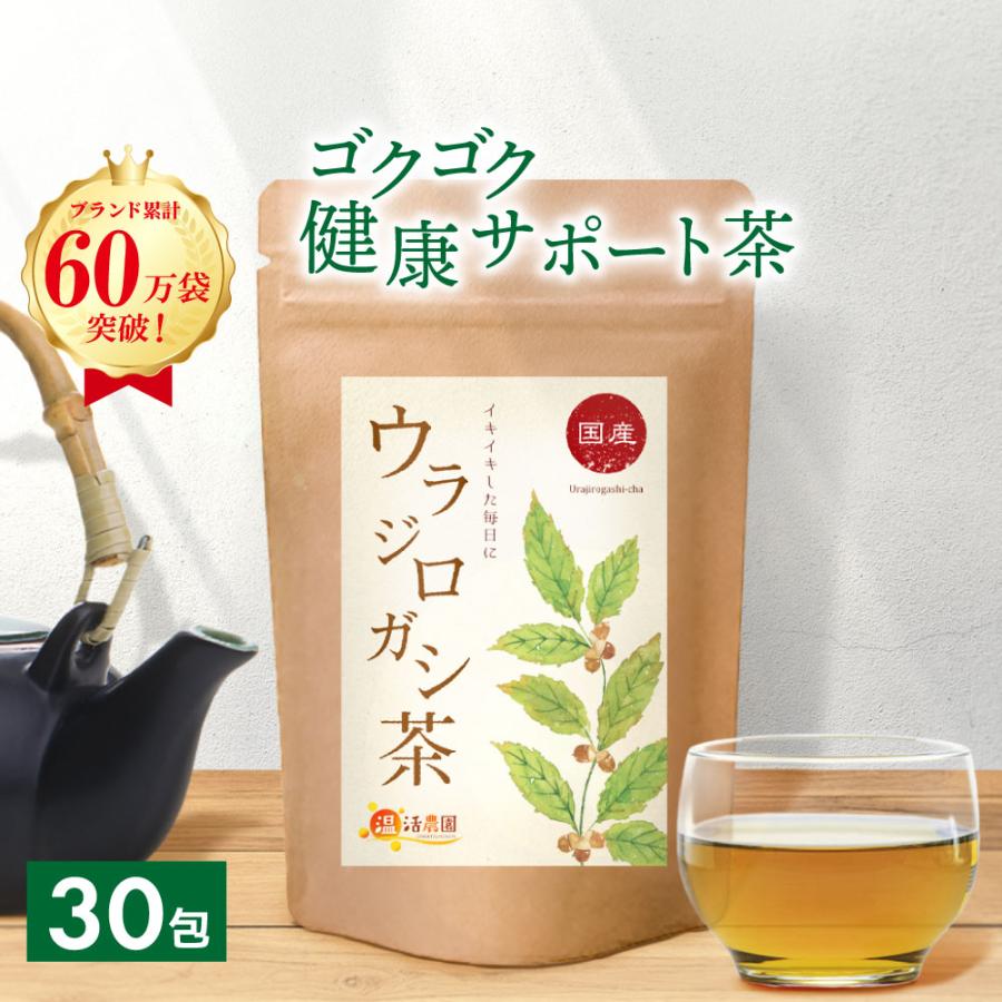 温活農園 ウラジロガシ茶【ブランド累計60万袋】国産 ティーバッグ (3g
