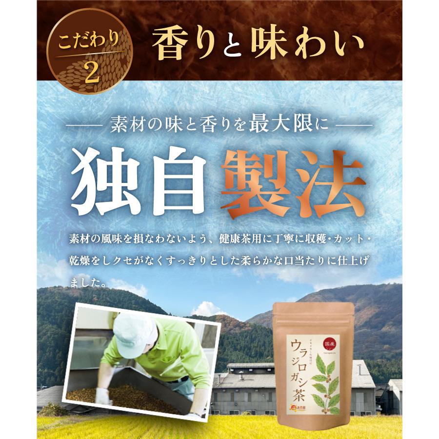 公式 温活農園 ウラジロガシ茶 国産 3g×30包 ノンカフェイン ウラジロガシ 裏白樫 どんぐり 排石茶 流石茶 お茶 健康茶 送料無料｜mamaselect｜07