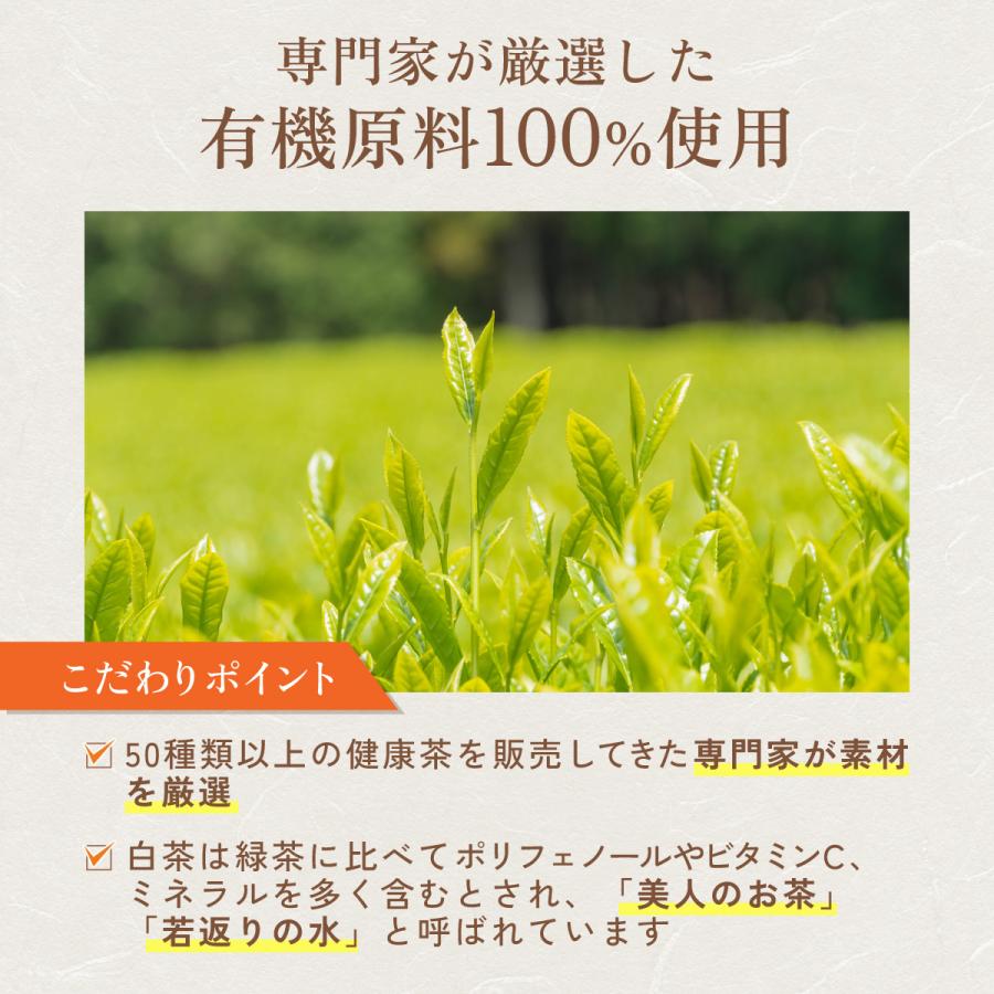 有機白茶 1.5g×20包  ティーバッグ  温活農園 公式 | 水出し ホワイトティー 有機JAS認証 ネパール産 ポリフェノール ビタミンC お茶 | 温活農園 | 03